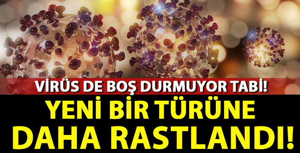 Brezilya'da yeni tür koronavirüse rastlandı!