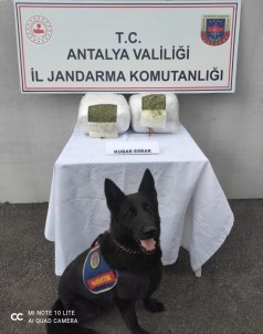 Jandarma Yolcu Valizinde 11 Kilo Esrar Ele Geçirdi