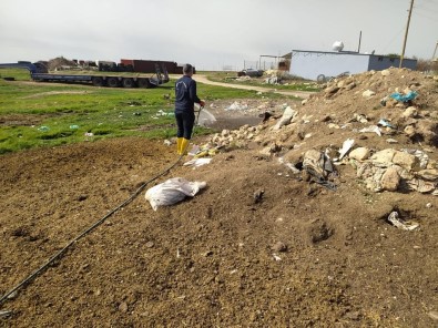Mardin'de Sinek Ve Haşerelere Karşı İlaçlama Çalışması Başlatıldı