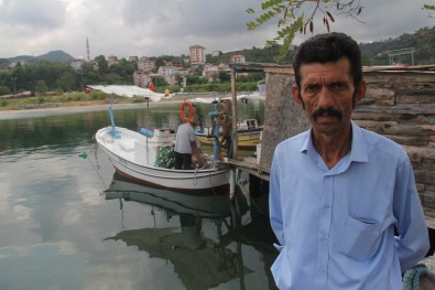 Arslan Açıklaması 'Hamsi Avı Çok Kısa Sürdü, Palamut Olmasa Birçok Balıkçımız Zor Durumda Kalırdı'