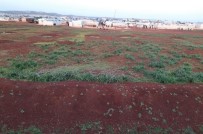 SURİYE - Suriye’den kazılmış 100 metre uzunluğunda tünel tespit edildi