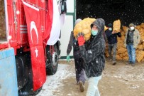 TMO, Nevşehir'de Patates Alımlarına Başladı