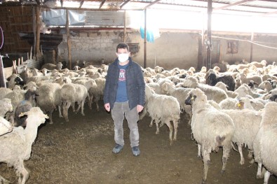 Karaman'da 21 Küçükbaşın Telef Olduğu Sürüdeki 579 Hayvanı Köylüler Kurtardı