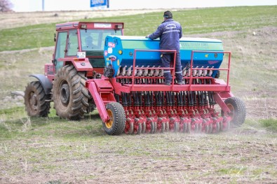 Talas'ta Anıza Direkt Ekim Makinesi İle Ekimler Başladı