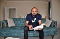 Harita Mühendisinden 'Sığır Balıkçıl' Kuşuna Şefkat Eli