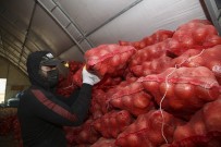 TMO, Çiftçinin Elinde Kalan Patates Ve Kuru Soğanı Maliyet Fiyatına Satın Almaya Başladı Haberi