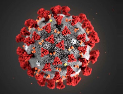 13 Nisan'ın koronavirüs rakamları açıklandı!