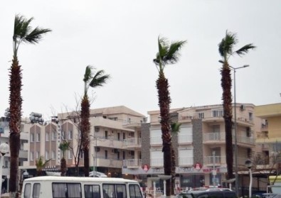 Aydın'da Yarın Kuvvetli Rüzgar Etkili Olacak