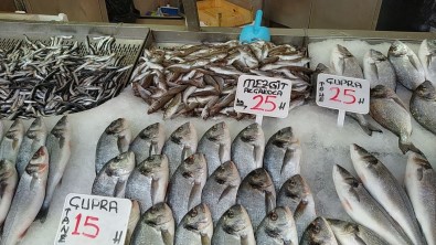 Balıkçılar Erken Paydos Etti