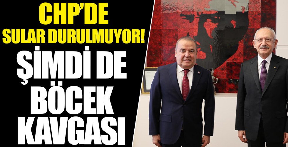 CHP Antalya’da sular durulmuyor: Şimdi de Böcek kavgası!