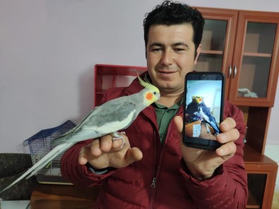 Her Sabah Papağan Bitik'in Söylediği 'Ölürüm Türkiye'm' Parçasıyla Kalkıyorlar