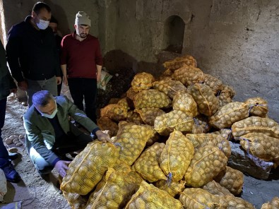 Niğde'den Patatesler Tırlarla Farklı İllere Gönderiliyor