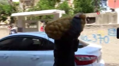 TMO'nun Çiftçiden Aldığı Patateslerin Adana'da İhtiyaç Sahiplerine Dağıtımına Başlandı