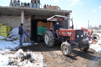 Kayseri'deki Patatesler 81 İle Gönderiliyor