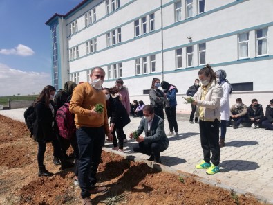 Afyonkarahisar'da Liseli Öğrenciler Okul Bahçesine Kekik Fidanı Dikti