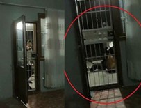 Dehşete düşüren görüntüler! Seni öldürsem ceza almam!