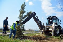 Helvacı'dan Yeni Şakran'a Kadar Yol Kenarları Ağaçlandırılıyor Haberi