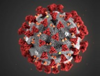 Koronavirüste son durum!