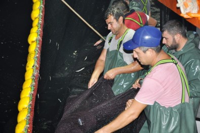 Milas İlçe Tarım Müdürü Parlu; 'Su Ürünleri Avcılık Yasakları Başladı'