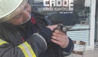 Trafo Binasına Sıkışan Ebabil Kuşu İtfaiye Tarafından Kurtarıldı
