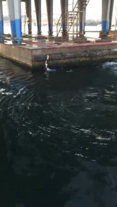 Unkapanı Köprüsü'nden Denize Atlayan Şahsı Yolcu Teknesi Kaptanı Kurtardı