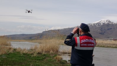 Drone'li Denetimlerin İlk Gününde 3 Ton İnci Kefali Kurtarıldı