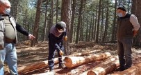 Kütahya Orman Bölge Müdürlüğünde 'Barkod' Uygulaması Haberi