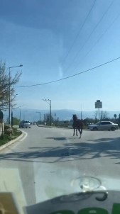 Bursa Trafiğinde Dört Nala Koştu