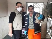 Kütahya'da Yaralı Baykuş Tedavi Altına Alındı