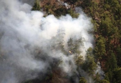 Muğla'da İki Farklı Noktada Orman Yangını Çıktı