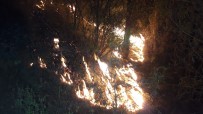 Muğla'daki Orman Yangınlarını Söndürme Çalışmaları Devam Ediyor