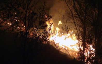 Muğla'daki Yangınlar Kontrol Altına Alındı
