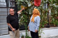 Hocaoğlu'ndan Kaza Geçiren Muhtara Vefa Ziyareti