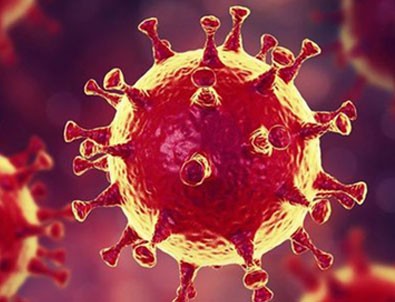 İki yeni mutasyon daha!