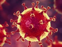 BREZILYA - İki yeni mutasyon daha!