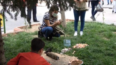 Siirt'te Caddede Doğum Yapan Köpeğe Vatandaşlar Sahip Çıktı