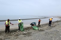 Van Gölü Sahilinde Temizlik Çalışması