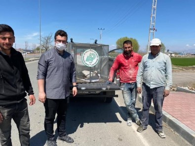 Yol Kenarında Bulunan Leylek Tedavi Altına Alındı
