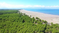 50 Hektarlık Mesire Alanı Projesinde İmzalar Atıldı Haberi