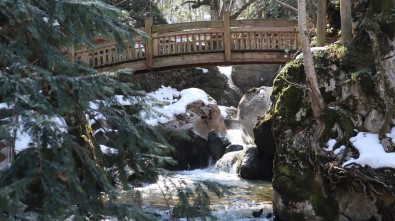 Başkan Özlü, Düzce'yi Turizm Kenti Yapmakta Kararlı