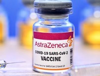 HOLLANDA - Bir ülkede daha kullanımı durduruldu!