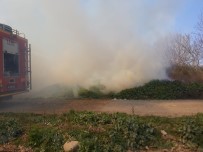 Burhaniye'de Arazi Yangını Haberi