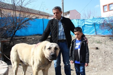 Köpek Dile Geldi; 'Benim Adım Ejder'
