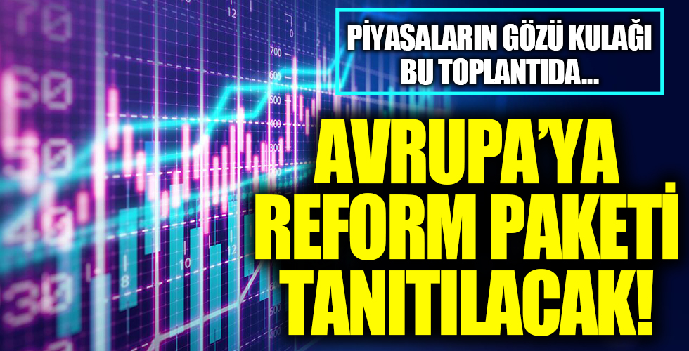 Lütfi Elvan, AB'li büyükelçilerle buluşacak!