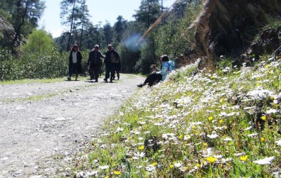 Muğla'nın Akciğerlerine Ziyaretçi Akını