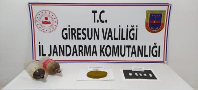 Giresun'da 70 Gram Bonzai Ele Geçirildi