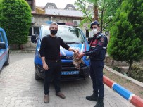 Jandarma Yaralı Baykuş'u DKMP Ekiplerine Teslim Etti