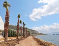 Hereke Sahil Parkı'nda Çalışmalar Sürüyor Haberi