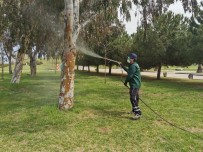 Samsun'da Vektör İle Mücadele