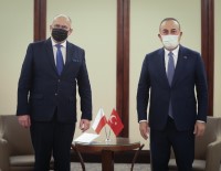 Çavuşoğlu, Polonya Dışişleri Bakanı Rau İle Görüştü